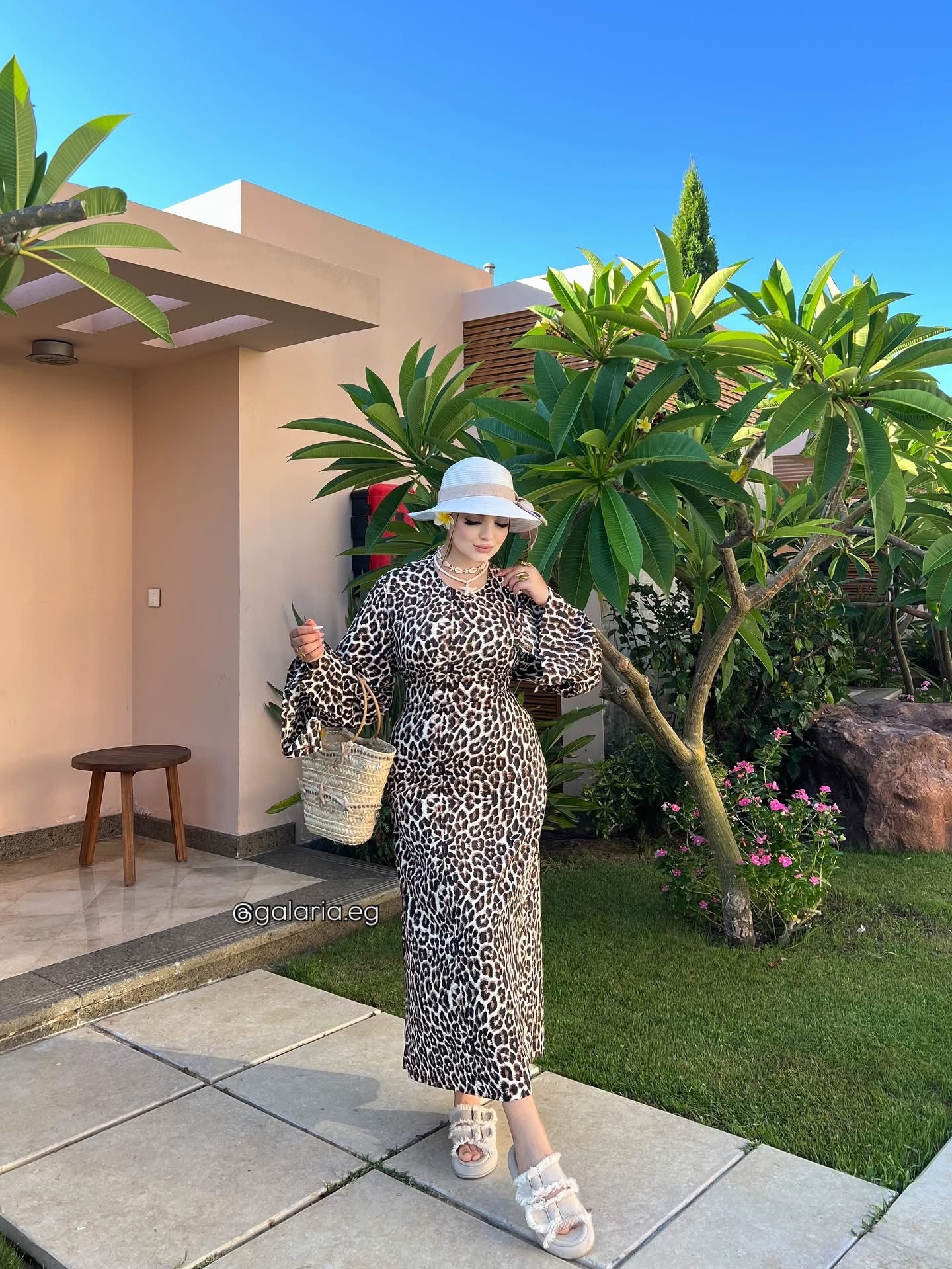 Klara Tiger Dress