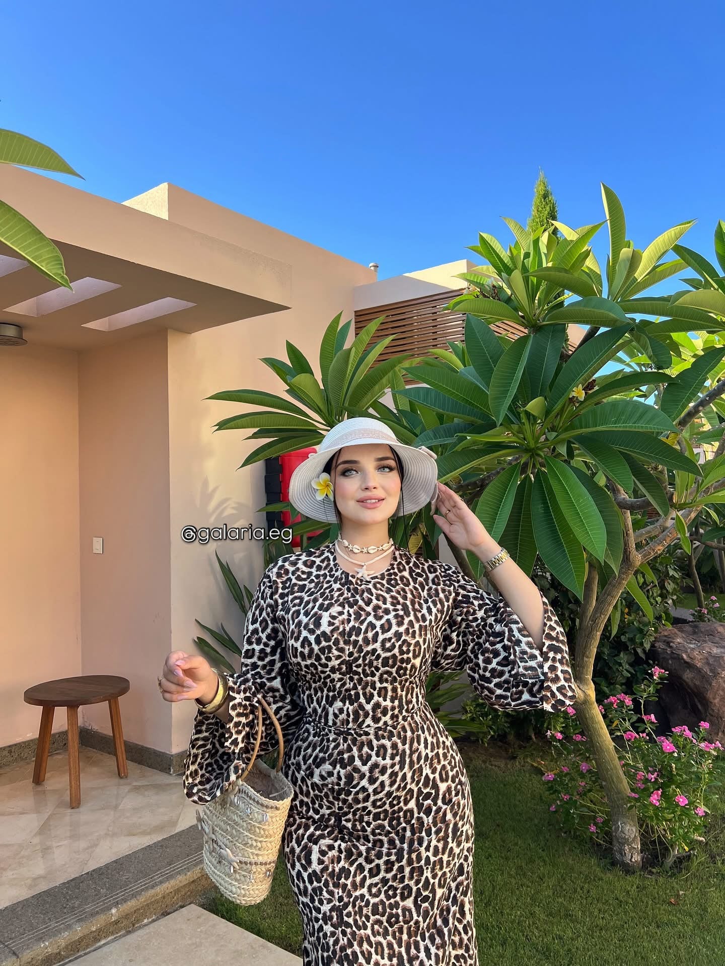 Klara Tiger Dress